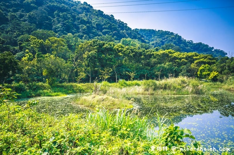 大漢溪山豬湖生態親水園區（環境清幽的美麗原生態公園，聆聽蟲鳴鳥叫）