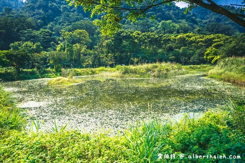 大漢溪山豬湖生態親水園區（環境清幽的美麗原生態公園，聆聽蟲鳴鳥叫）
