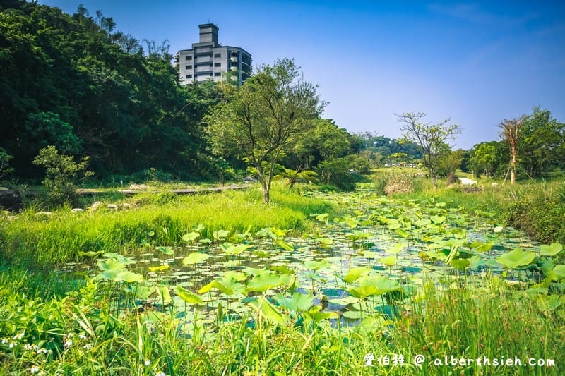 大漢溪山豬湖生態親水園區（環境清幽的美麗原生態公園，聆聽蟲鳴鳥叫）