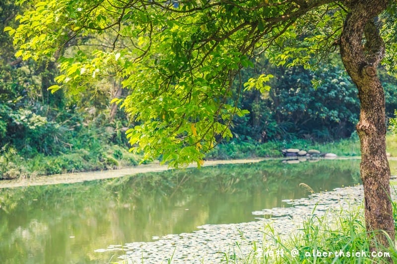 大漢溪山豬湖生態親水園區（環境清幽的美麗原生態公園，聆聽蟲鳴鳥叫）