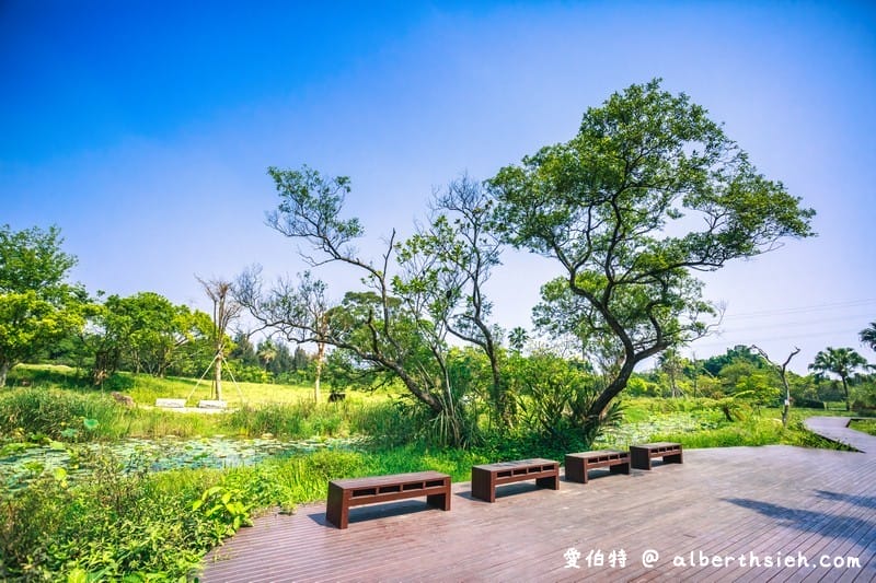 大漢溪山豬湖生態親水園區（環境清幽的美麗原生態公園，聆聽蟲鳴鳥叫）