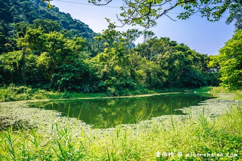 大漢溪山豬湖生態親水園區（環境清幽的美麗原生態公園，聆聽蟲鳴鳥叫）