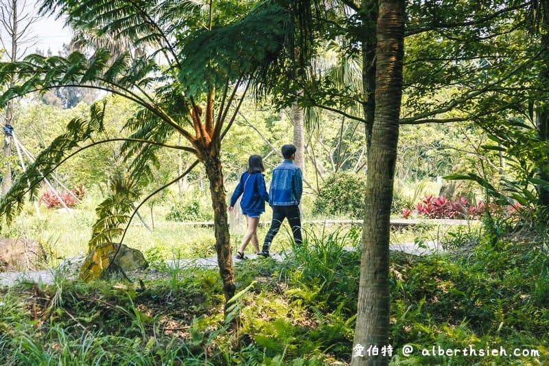 大漢溪山豬湖生態親水園區（環境清幽的美麗原生態公園，聆聽蟲鳴鳥叫）