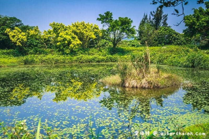 大漢溪山豬湖生態親水園區（環境清幽的美麗原生態公園，聆聽蟲鳴鳥叫）