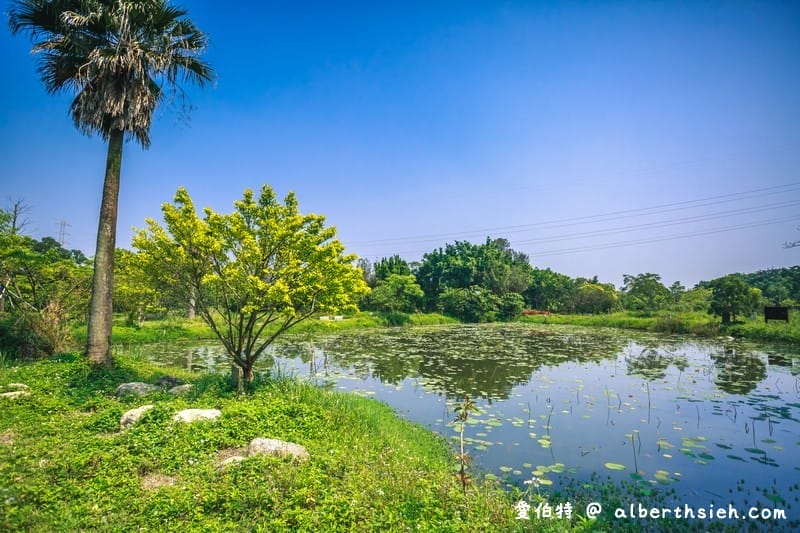 大漢溪山豬湖生態親水園區（環境清幽的美麗原生態公園，聆聽蟲鳴鳥叫）
