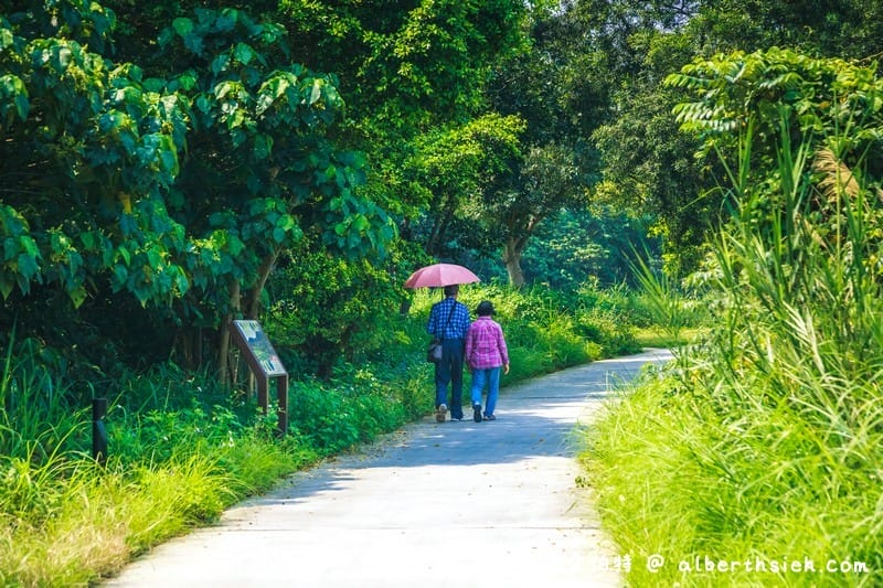 大漢溪山豬湖生態親水園區（環境清幽的美麗原生態公園，聆聽蟲鳴鳥叫）