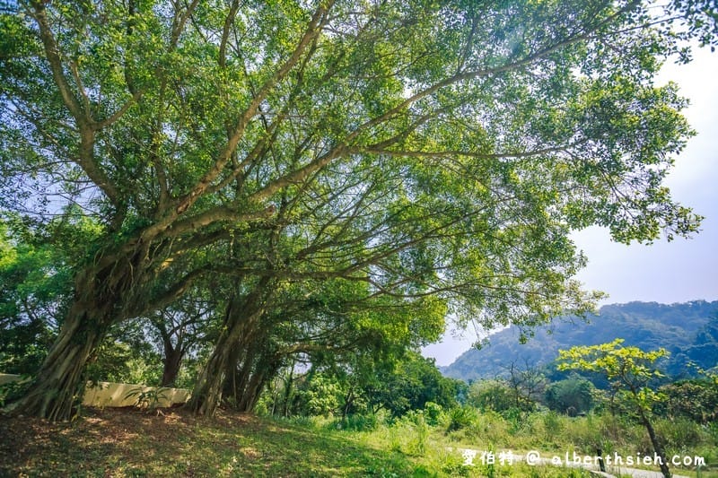 大漢溪山豬湖生態親水園區（環境清幽的美麗原生態公園，聆聽蟲鳴鳥叫）