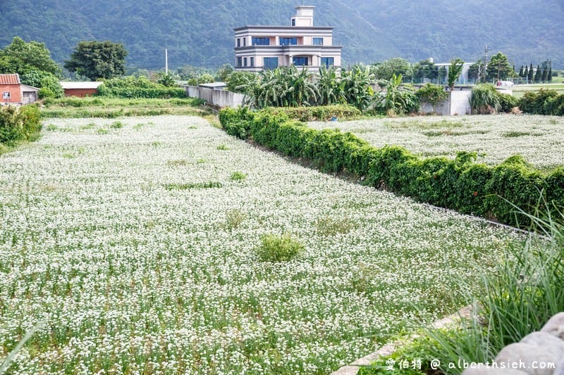 大溪中庄調整池（桃園備用水庫，景色優美運動休閒好去處）