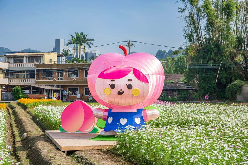 大溪花彩節2024大溪水岸花卉農遊（時間/交通接駁停車）