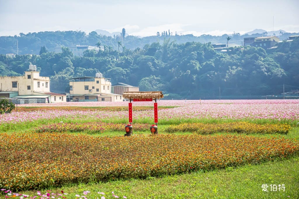 2024大溪花彩節一日遊，八條推薦美食景點行程懶人包