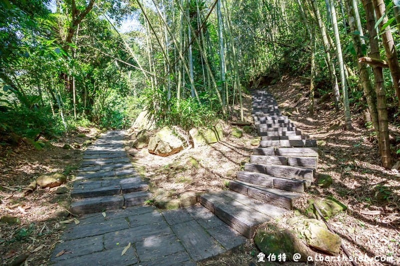 阿里山迷糊步道&樂米吊橋（竹林美景平緩好走好拍的親子步道）