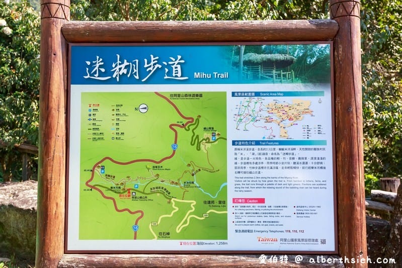 阿里山迷糊步道&樂米吊橋（竹林美景平緩好走好拍的親子步道）