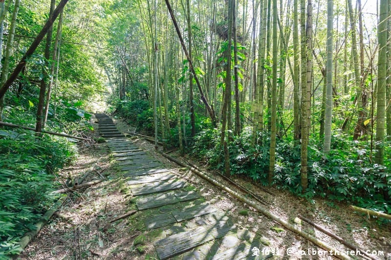 阿里山迷糊步道&樂米吊橋（竹林美景平緩好走好拍的親子步道）