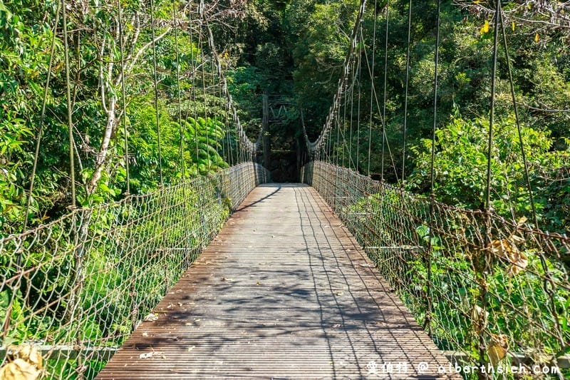 阿里山迷糊步道&樂米吊橋（竹林美景平緩好走好拍的親子步道）