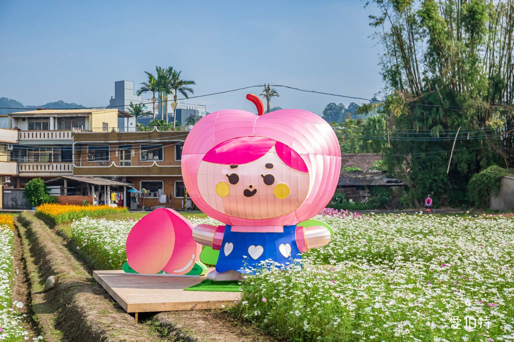 大溪花彩節2024大溪水岸花卉農遊(時間/交通接駁停車) @愛伯特