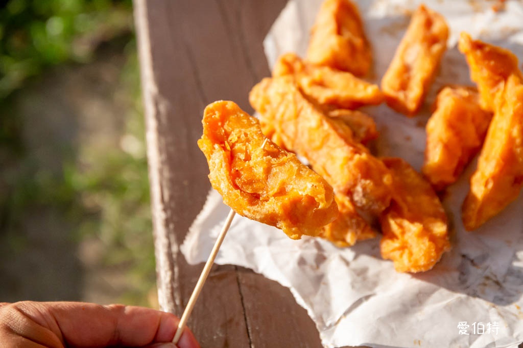 桃園萬大蜜汁炸雞｜大業寶山黃昏市場美食，腿排、雞翅、薯條必點 @愛伯特