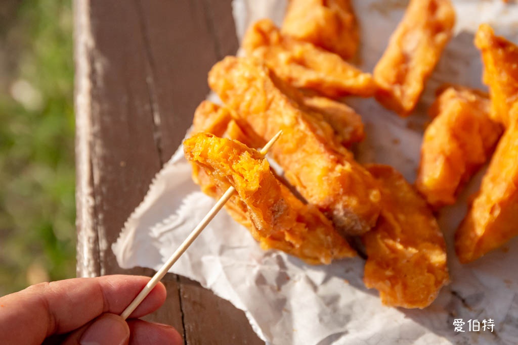 桃園萬大蜜汁炸雞｜大業寶山黃昏市場美食，腿排、雞翅、薯條必點 @愛伯特