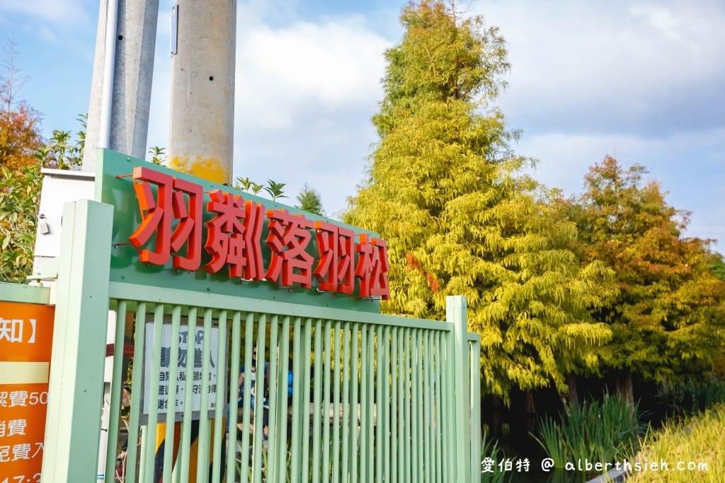 台中泰安落羽松。羽粼落羽松(停車位置/入園費用) - 第10張圖 台中泰安落羽松。羽粼落羽松(停車位置/入園費用)