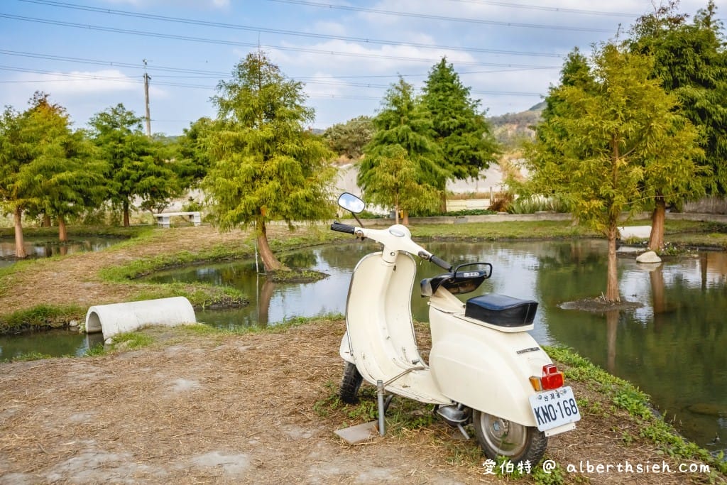台中泰安落羽松。羽粼落羽松(停車位置/入園費用) - 第21張圖 台中泰安落羽松。羽粼落羽松(停車位置/入園費用)