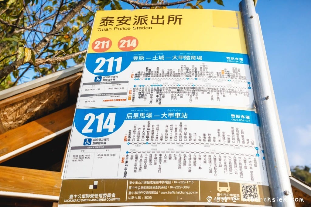 台中泰安落羽松。羽粼落羽松(停車位置/入園費用) - 第2張圖 台中泰安落羽松。羽粼落羽松(停車位置/入園費用)