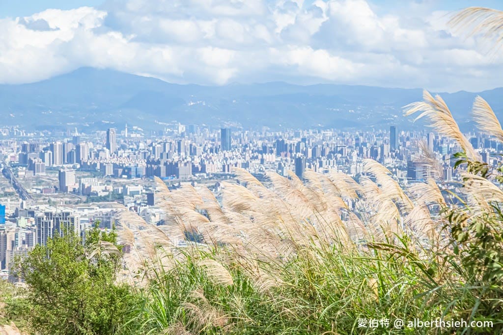 三角埔頂山(北部防災降雨雷達(樹林區))|整座山頭雪白芒草任你拍 - 第18張圖 三角埔頂山(北部防災降雨雷達(樹林區))|整座山頭雪白芒草任你拍