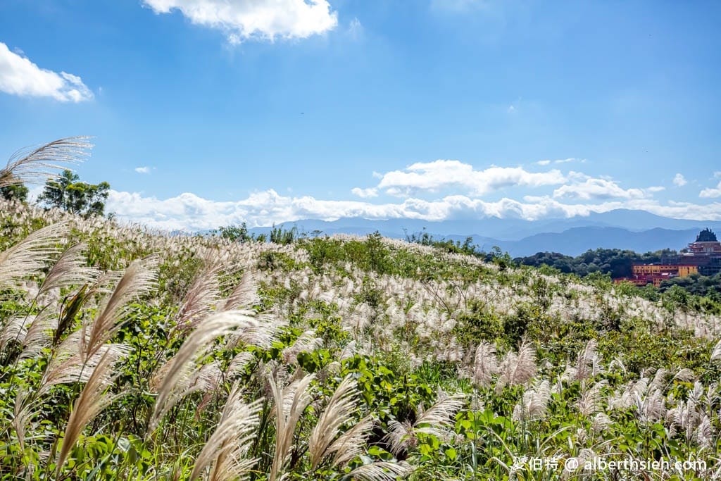 三角埔頂山(北部防災降雨雷達(樹林區))|整座山頭雪白芒草任你拍 - 第28張圖 三角埔頂山(北部防災降雨雷達(樹林區))|整座山頭雪白芒草任你拍