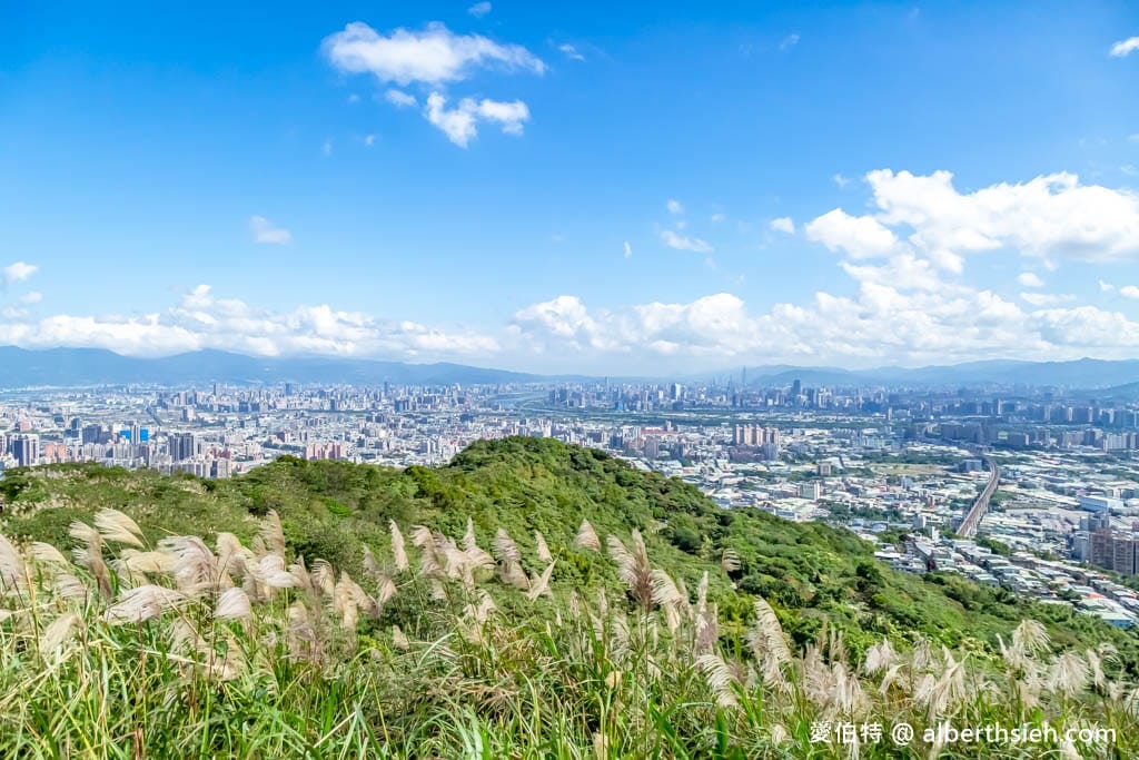 三角埔頂山(北部防災降雨雷達(樹林區))|整座山頭雪白芒草任你拍 - 第21張圖 三角埔頂山(北部防災降雨雷達(樹林區))|整座山頭雪白芒草任你拍