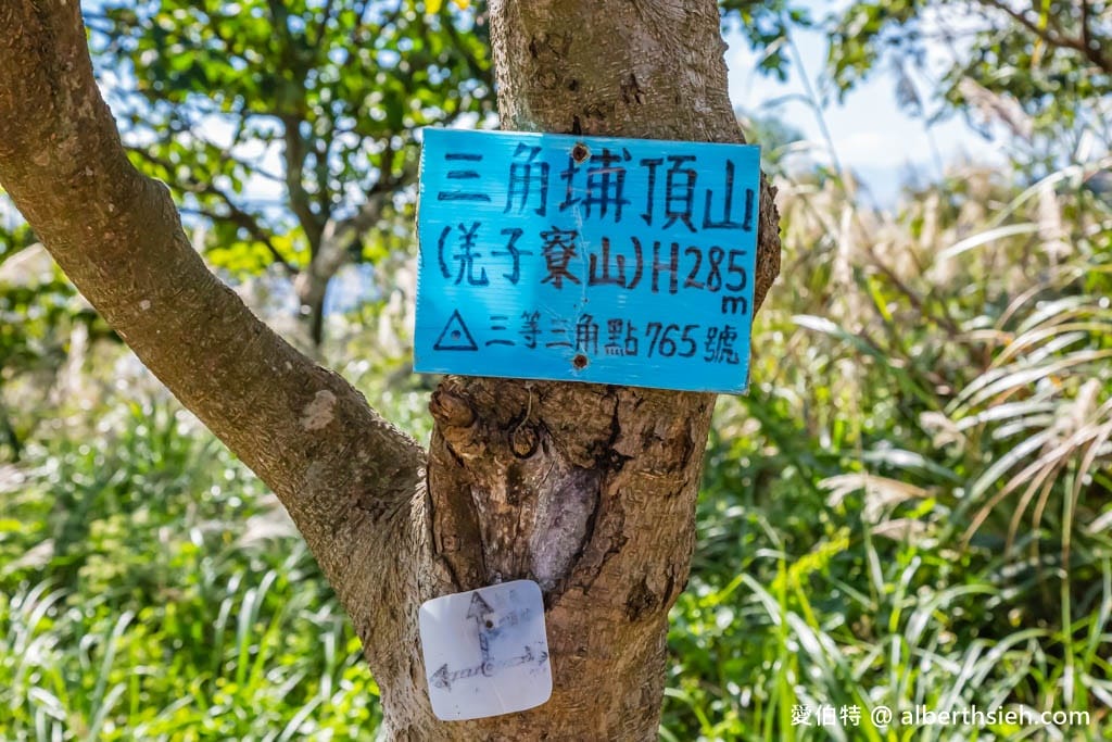 三角埔頂山(北部防災降雨雷達(樹林區))|整座山頭雪白芒草任你拍 - 第15張圖 三角埔頂山(北部防災降雨雷達(樹林區))|整座山頭雪白芒草任你拍