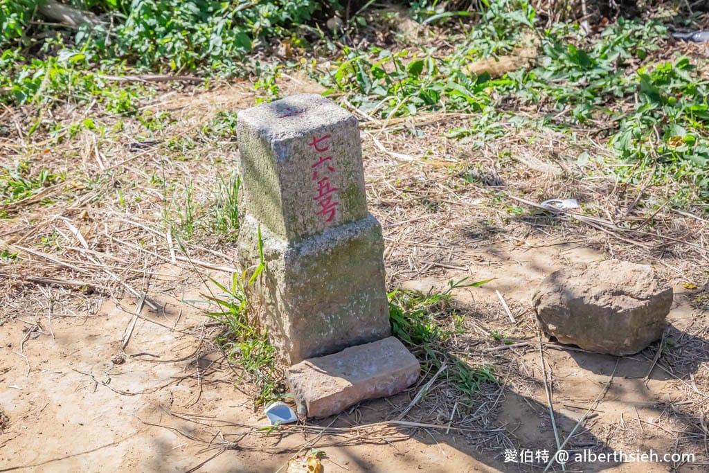 三角埔頂山(北部防災降雨雷達(樹林區))|整座山頭雪白芒草任你拍 - 第16張圖 三角埔頂山(北部防災降雨雷達(樹林區))|整座山頭雪白芒草任你拍