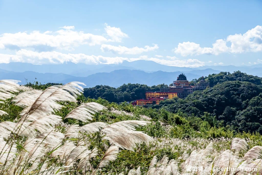 三角埔頂山(北部防災降雨雷達(樹林區))|整座山頭雪白芒草任你拍 - 第29張圖 三角埔頂山(北部防災降雨雷達(樹林區))|整座山頭雪白芒草任你拍