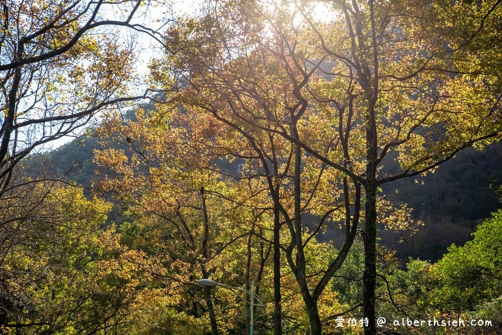石門水庫一日遊怎麼玩?停車收費,賞楓紅梅花,搭船遊湖,即時影像 - 第15張圖 石門水庫一日遊怎麼玩?停車收費,賞楓紅梅花,搭船遊湖,即時影像