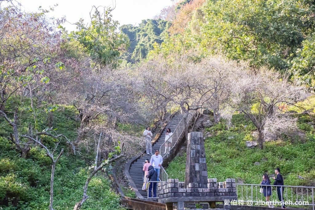 石門水庫一日遊怎麼玩?停車收費,賞楓紅梅花,搭船遊湖,即時影像 - 第17張圖 石門水庫一日遊怎麼玩?停車收費,賞楓紅梅花,搭船遊湖,即時影像
