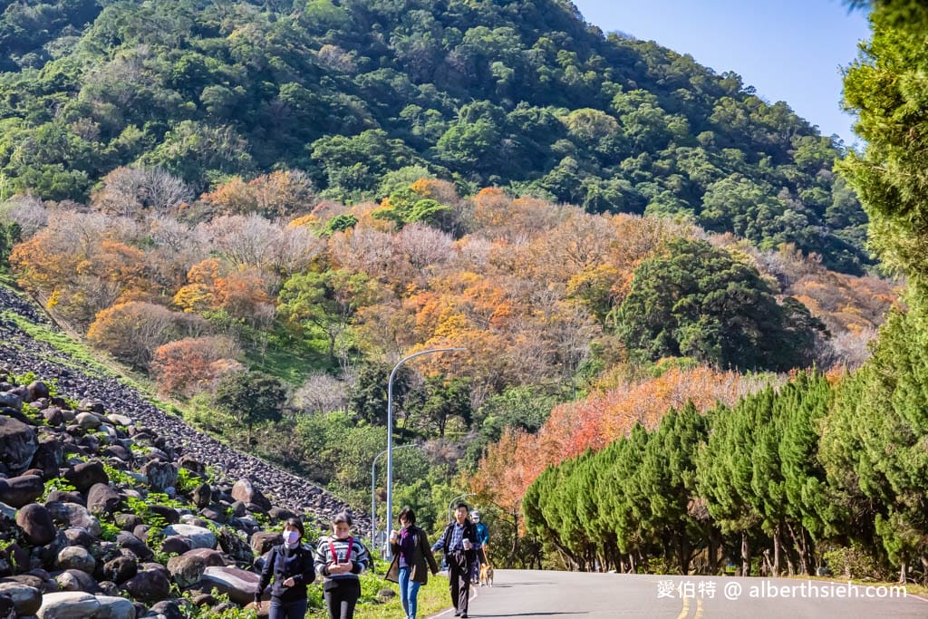 石門水庫一日遊怎麼玩?停車收費,賞楓紅梅花,搭船遊湖,即時影像 - 第12張圖 石門水庫一日遊怎麼玩?停車收費,賞楓紅梅花,搭船遊湖,即時影像