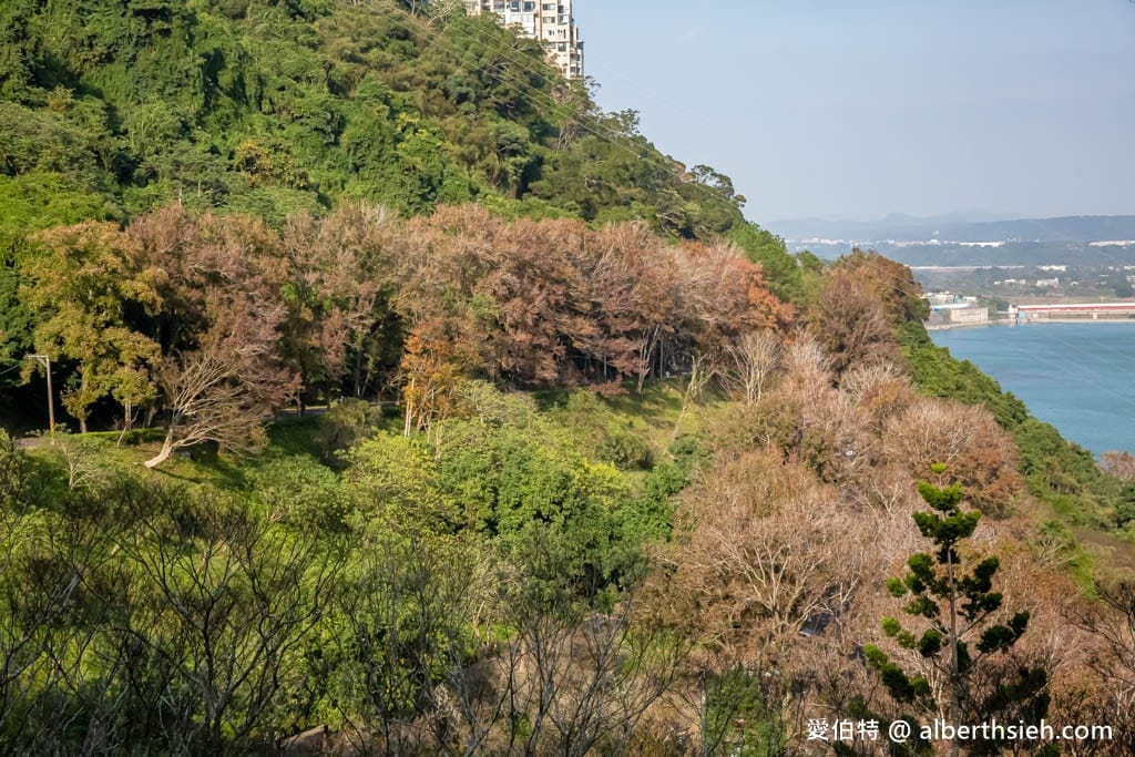 石門水庫一日遊怎麼玩?停車收費,賞楓紅梅花,搭船遊湖,即時影像 - 第33張圖 石門水庫一日遊怎麼玩?停車收費,賞楓紅梅花,搭船遊湖,即時影像