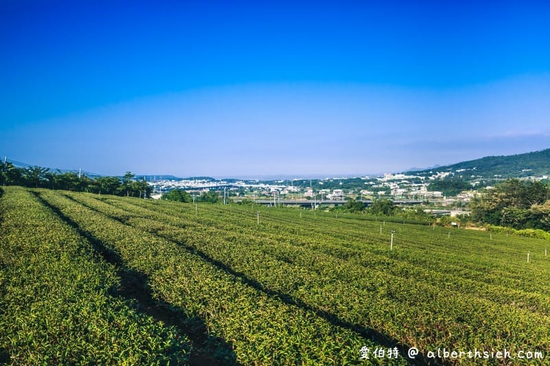 苗栗台灣農林銅鑼茶廠|視野遼闊追火車品茶,茶園風光群山美景 - 第21張圖 苗栗台灣農林銅鑼茶廠|視野遼闊追火車品茶,茶園風光群山美景