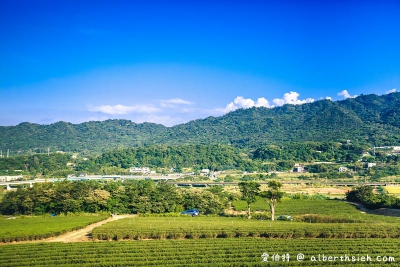 苗栗台灣農林銅鑼茶廠|視野遼闊追火車品茶,茶園風光群山美景 - 第22張圖 苗栗台灣農林銅鑼茶廠|視野遼闊追火車品茶,茶園風光群山美景