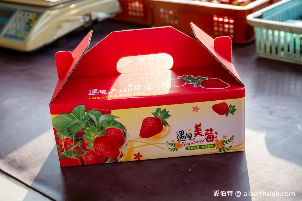 2024苗栗大湖採草莓推薦｜雙坑高架草莓園（品質好價格實在）