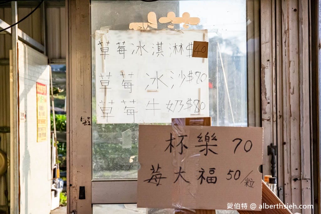 2024苗栗大湖採草莓推薦｜雙坑高架草莓園（品質好價格實在）