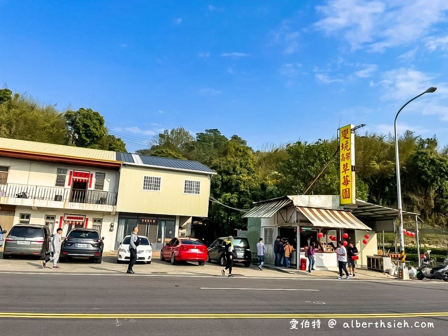 2024苗栗大湖採草莓推薦｜雙坑高架草莓園（品質好價格實在）
