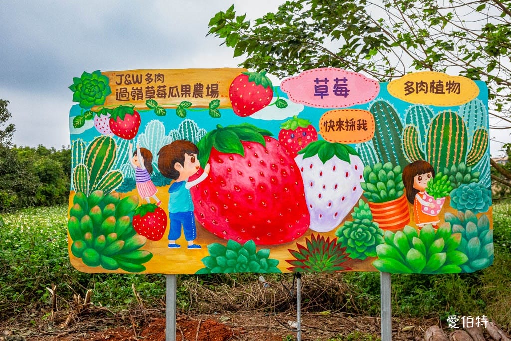 桃園中壢草莓園推薦｜J&W多肉過嶺草莓瓜果農園/中觀溫室農園