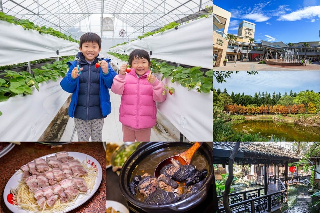 桃園中壢草莓園推薦｜J&W多肉過嶺草莓瓜果農園/中觀溫室農園