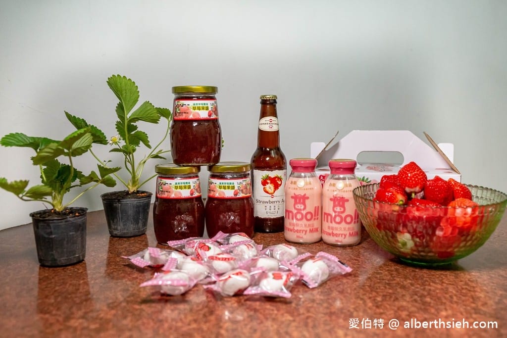 苗栗大湖滿意高架牛奶蜜草莓農場（高架採鋪設防水布）