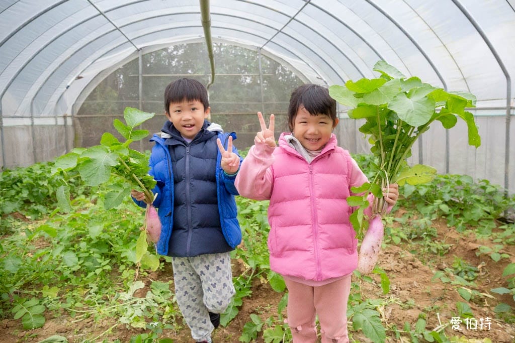 桃園中壢草莓園推薦｜J&W多肉過嶺草莓瓜果農園/中觀溫室農園