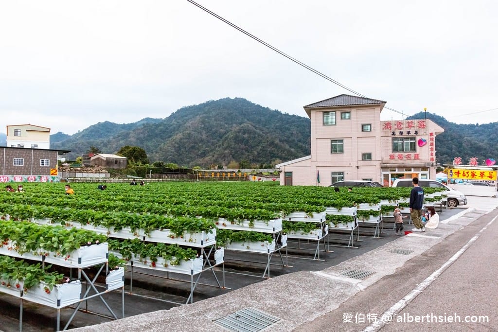 苗栗大湖滿意高架牛奶蜜草莓農場（高架採鋪設防水布）