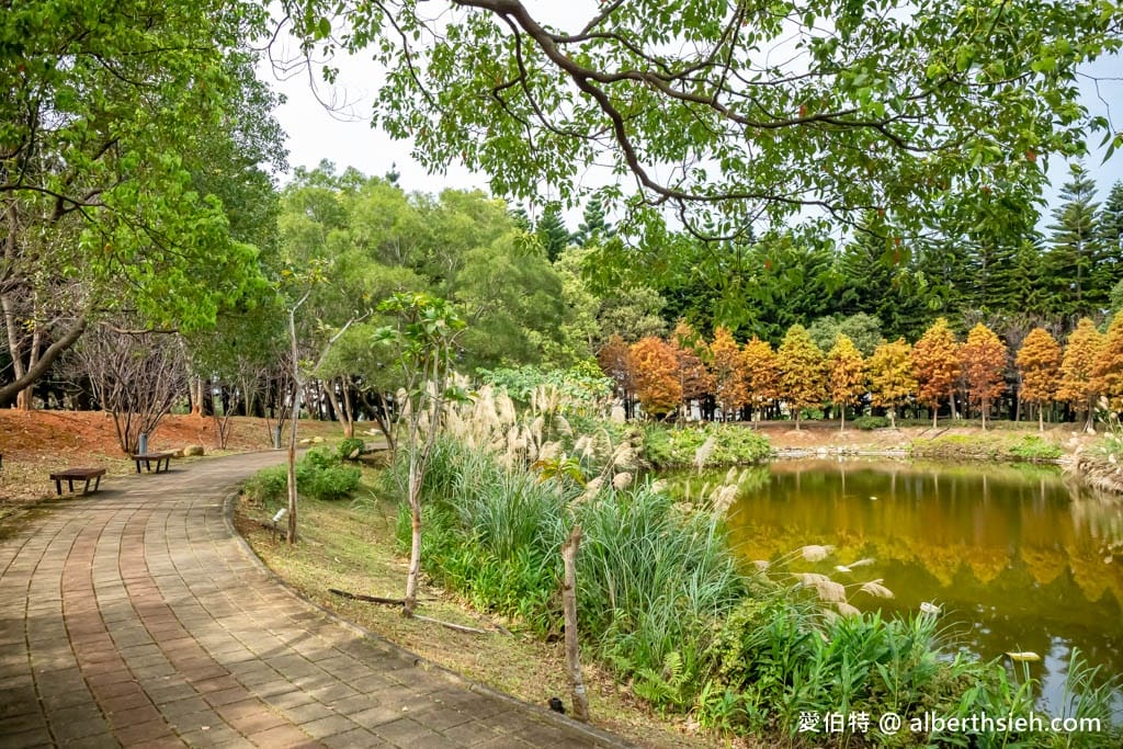 桃園中壢過嶺森林公園(落羽松、楓樹、山櫻花,充滿綠意平坦好走!) - 第24張圖 桃園中壢過嶺森林公園(落羽松、楓樹、山櫻花,充滿綠意平坦好走!)