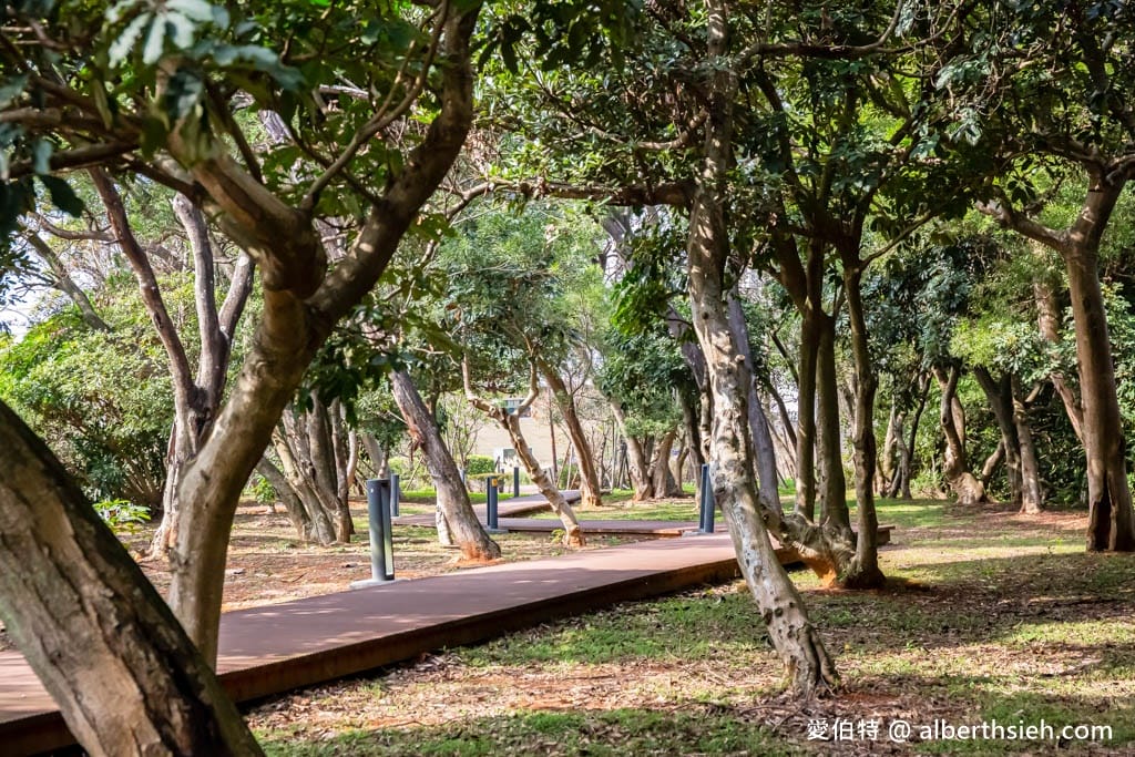 桃園中壢過嶺森林公園(落羽松、楓樹、山櫻花,充滿綠意平坦好走!) - 第9張圖 桃園中壢過嶺森林公園(落羽松、楓樹、山櫻花,充滿綠意平坦好走!)