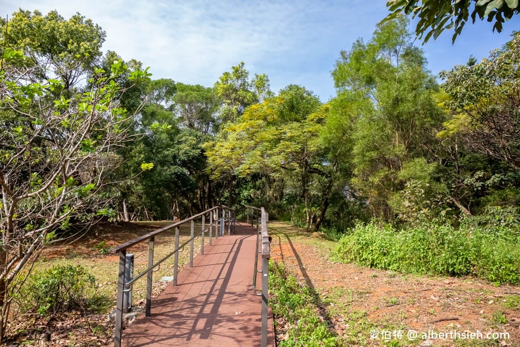 桃園中壢過嶺森林公園(落羽松、楓樹、山櫻花,充滿綠意平坦好走!) - 第7張圖 桃園中壢過嶺森林公園(落羽松、楓樹、山櫻花,充滿綠意平坦好走!)