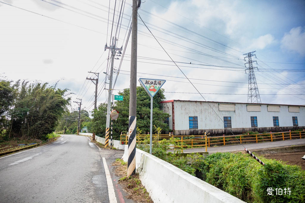 桃園大溪採草莓推薦|秋田農場,溫室高架種植,日系紅顏、白草莓 @愛伯特