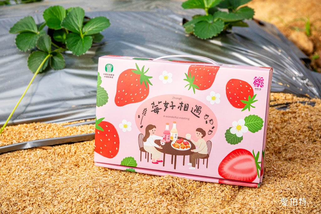 桃園採草莓親子一日遊|草本誠食草莓X落雨松秘境,順遊漁港藻礁 @愛伯特