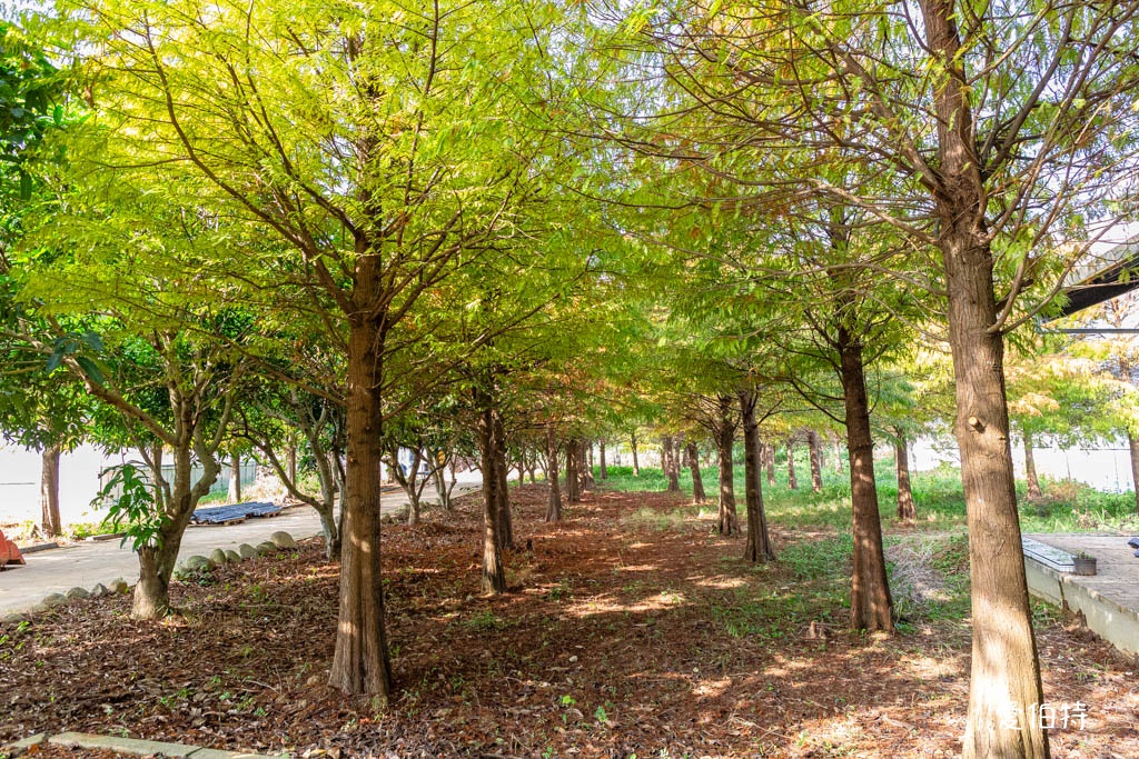 桃園採草莓親子一日遊｜草本誠食草莓X落雨松秘境，順遊漁港藻礁 @愛伯特